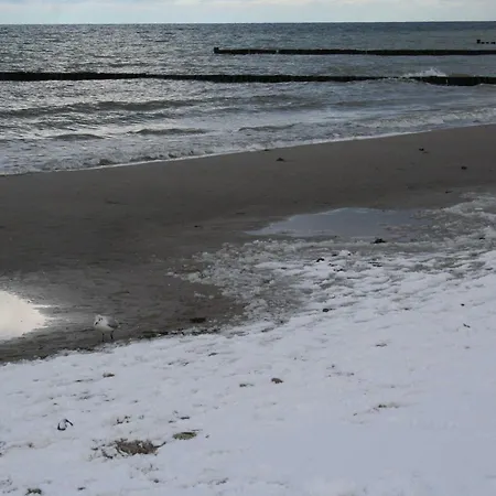 Thiel Eg *