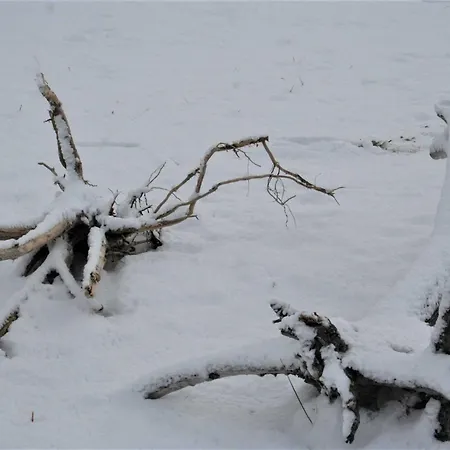 Thiel Eg Appartement *