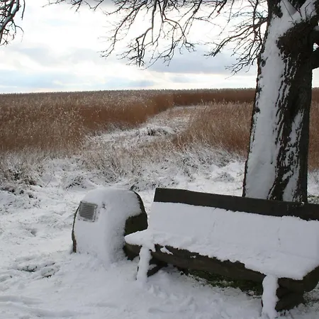 Thiel Eg * Dierhagen