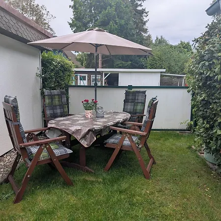 Thiel Eg Dierhagen